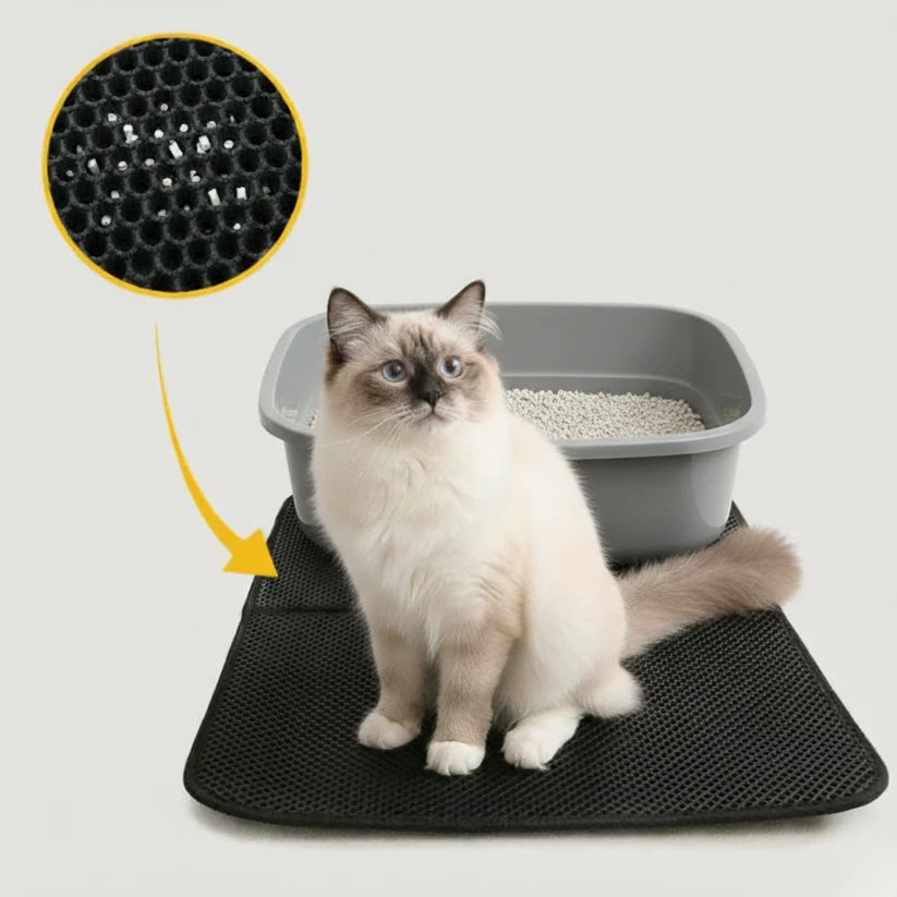 KattKollektivet - Fritt från kattsand